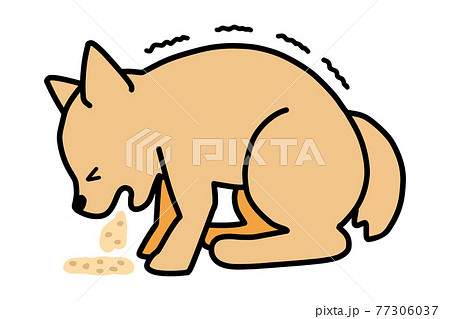 犬 嘔吐 痙攣のイラスト素材