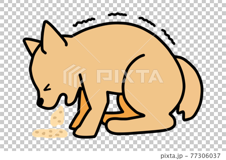 犬 嘔吐 痙攣のイラスト素材