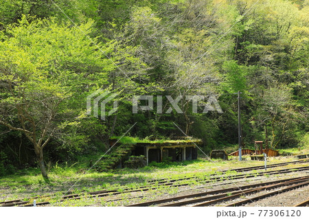 新緑に囲まれる鉄道遺構（日本 広島県） 77306120