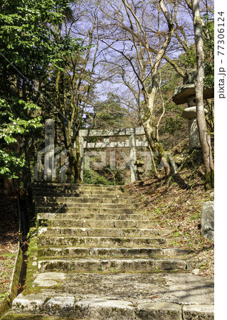 智頭宿　諏訪神社　参道　鳥取県八頭郡智頭町 77306124