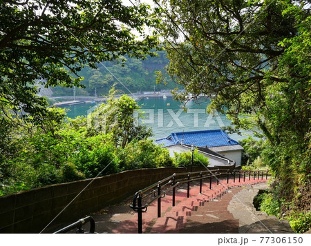 大島・波浮港 大島・波浮港 77306150
