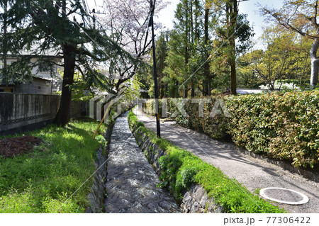 京都・扇ダム放水路と南禅寺界隈別荘 京都・扇ダム放水路と南禅寺界隈別荘 77306422