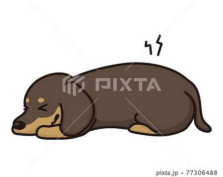椎間板ヘルニア 痛がる犬 腰痛のイラスト素材 [77306488] - PIXTA