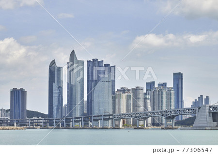 都市 都会 海 77306547