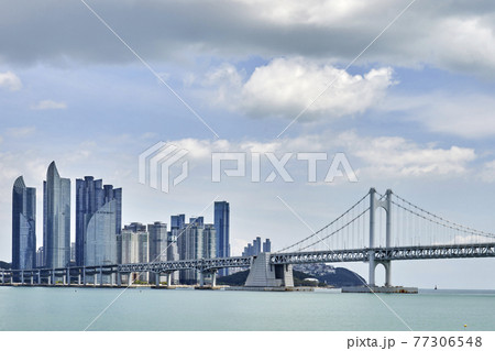 都市 都会 海 77306548