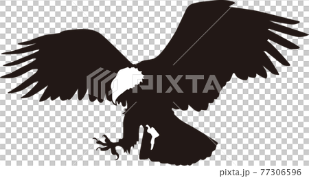 ハクトウワシ ハクトウワシ 77306596