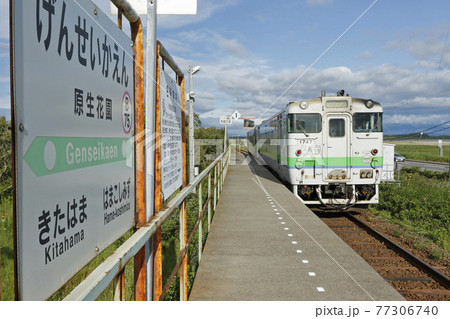 原生花園駅　JR原生花園駅　B75　釧網本線　小清水原生花園 77306740
