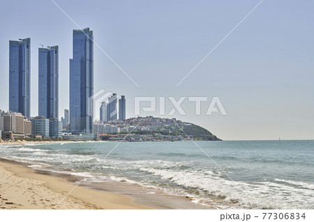 海 ビーチ 都市 77306834