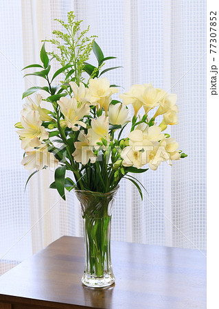 白い花 白い花 77307852