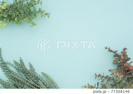 背景素材 植物 背景素材 植物 77308146