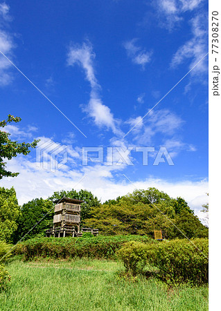 （埼玉県）西城沼公園と夏空 77308270