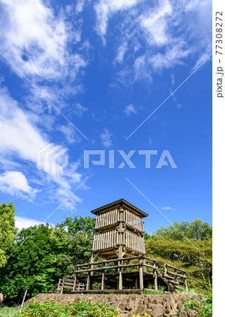 (埼玉県)夏空と西城沼公園 (埼玉県)夏空と西城沼公園 77308272
