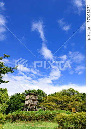 （埼玉県）快晴の空と西城沼公園の展望台 77308274