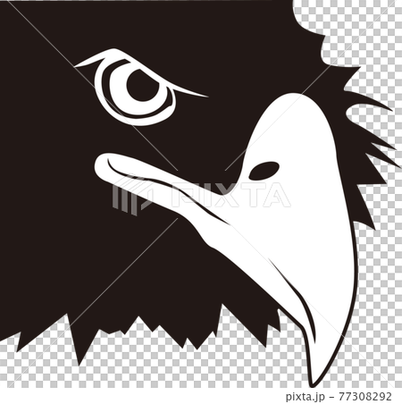 eagle 77308292