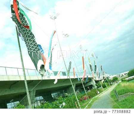 長岡京市の初夏 77308882