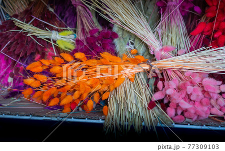 Colorful dyied dried wild flowers for doceration 77309103