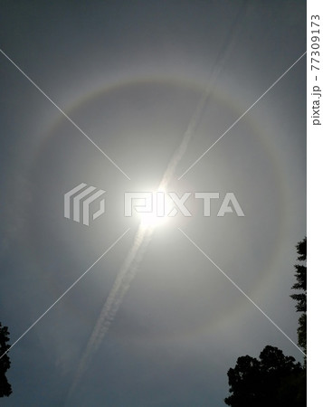 ハロと飛行機雲 77309173