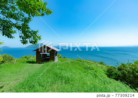 樹齢1200年の巨木がそびえる神秘の小島　志々島 77309214