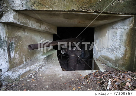 父島の戦跡　夜明山の高射砲 77309367