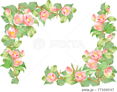 椿　バラ　水彩フレーム　他複数バリエーションあります 77309547