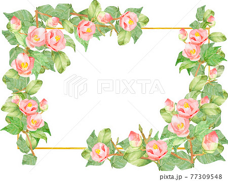 椿　バラ　水彩フレーム　他複数バリエーションあります 77309548