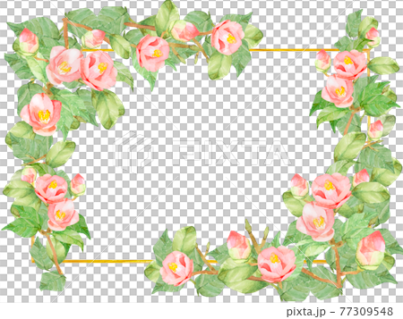 椿　バラ　水彩フレーム　他複数バリエーションあります 77309548