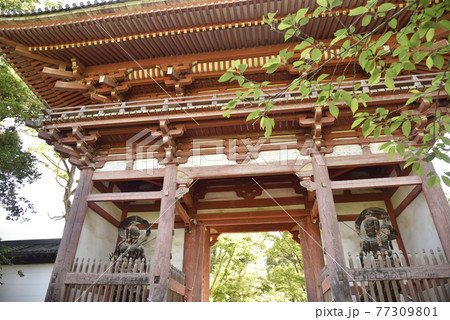 醍醐寺 仁王門 醍醐寺 仁王門 77309801