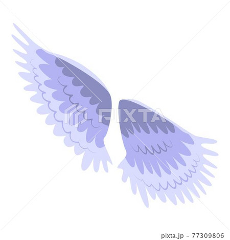 Bird wings icon, isometric style Bird wings icon, isometric style 77309806