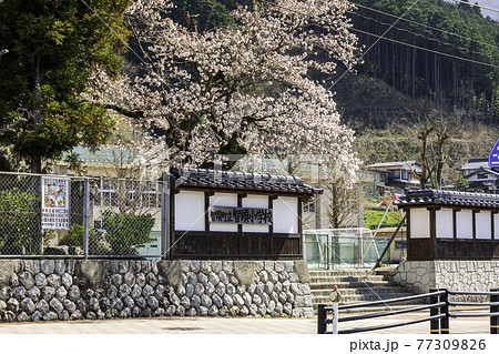 智頭町立智頭小学校 鳥取県八頭郡智頭町 智頭町立智頭小学校 鳥取県八頭郡智頭町 77309826