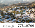 早朝の渋峠④（オートン効果） 77310709