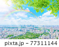 雨上がりの晴れた東京都市風景 77311144