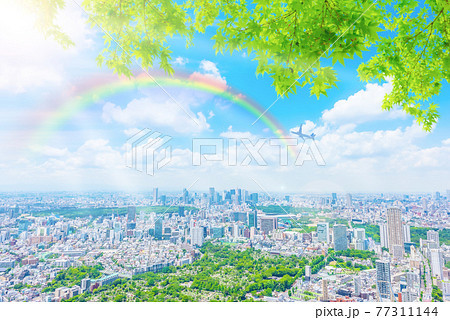 雨上がりの晴れた東京都市風景 雨上がりの晴れた東京都市風景 77311144