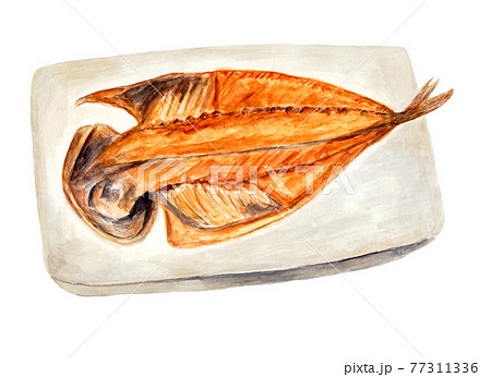アジの開きの焼き魚裏側 水彩イラスト のイラスト素材