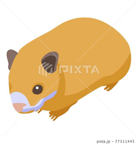 Small hamster icon, isometric style 77311445