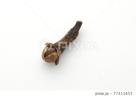 クローブ 77311655