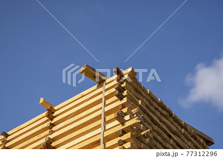 Storage of piles of wooden boards on the sawmill. Boards are stacked in a carpentry shop. Sawing drying and marketing of wood. Pine lumber for furniture production, construction. Lumber Industry. 77312296