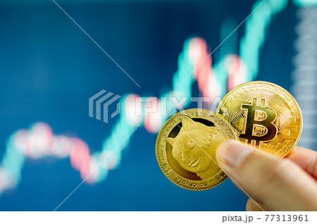 Hand holding gold Bitcoin and Dogecoin 77313961