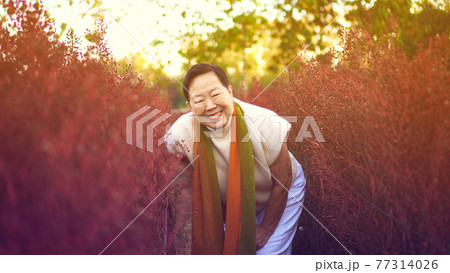 Asian senior woman smile happy in red flower field happy leisure retirement lifestyle Asian senior woman smile happy in red flower field happy leisure retirement lifestyle 77314026