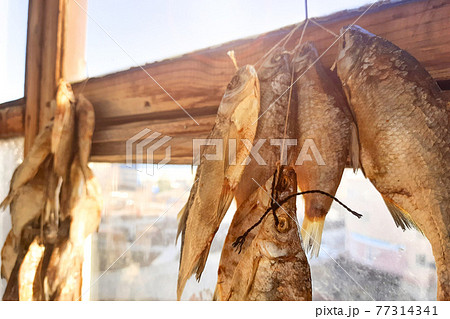 Fish is being dried on the balcony of the house, several fish are hung on a rope Fish is being dried on the balcony of the house, several fish are hung on a rope 77314341
