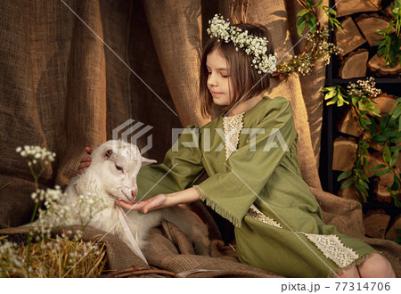 Cute farm girl hugs and feeds her little white goat Cute farm girl hugs and feeds her little white goat 77314706