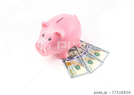 piggy bank figures and dollar bills on a white background. The concept of thrift and saving money piggy bank figures and dollar bills on a white background. The concept of thrift and saving money 77316950
