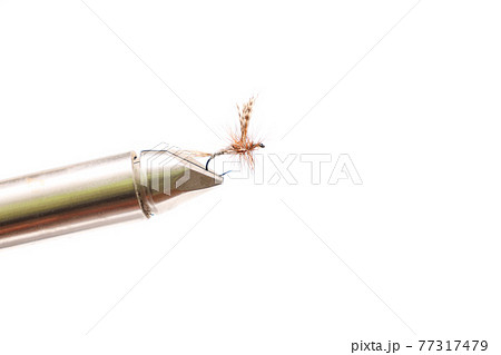白背景の毛鉤 77317479