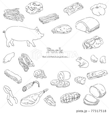 豚肉のイラストセット 手描きの線画のイラスト素材