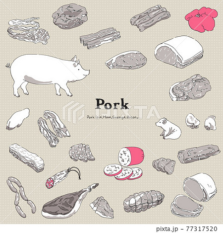 豚肉のイラストセット-手描きの線画 77317520