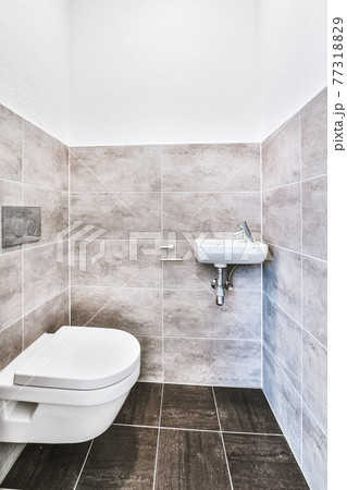 Interior of modern toilet in apartment Interior of modern toilet in apartment 77318829