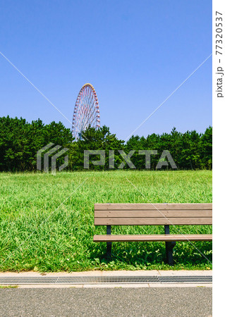 東京都 快晴の空とベンチと芝生 公園の写真素材