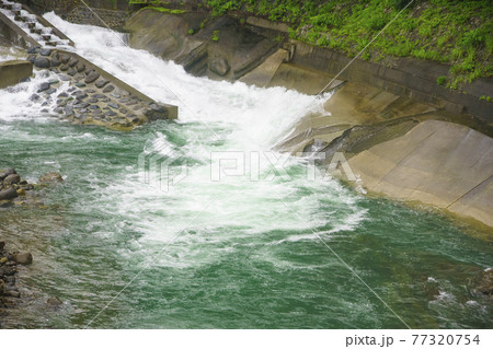 神奈川県の酒匂川の風景 77320754