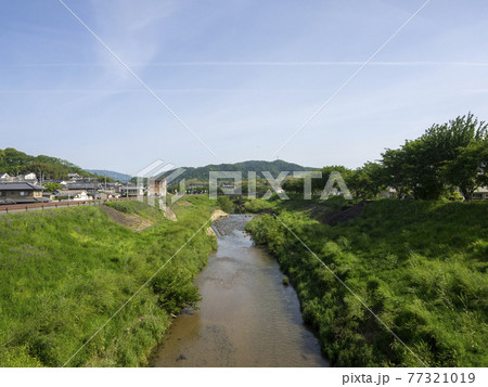 植物が茂る河川敷と川の風景 77321019