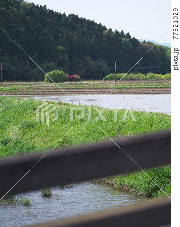 川崎城跡公園　ともなりばしから見た田園 77321029