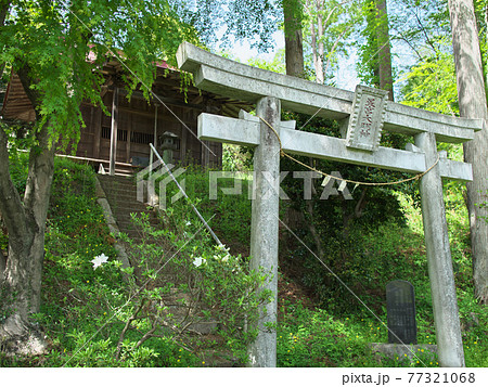 川崎城跡公園 星宮神社 川崎城跡公園 星宮神社 77321068